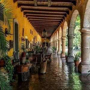 Meet your Posher, Claudina